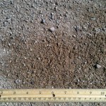 APPS All Purpose Sand